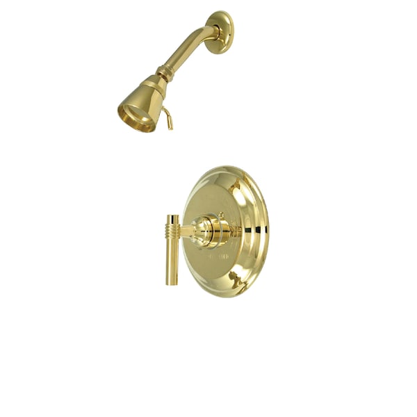 Shower Faucet, 2, Wall Mount, Polished Brass